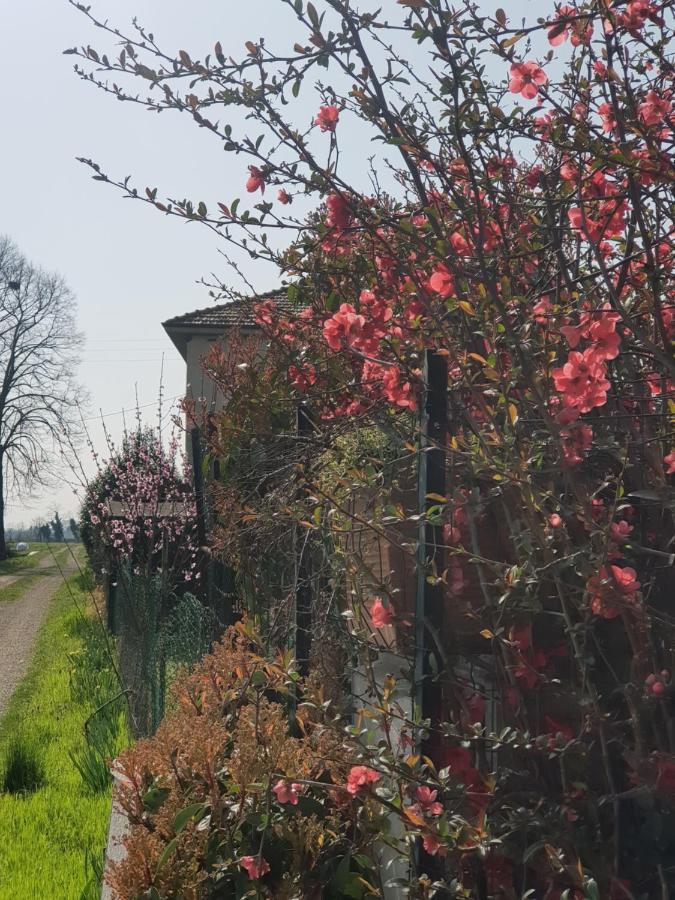 Az.Agr.Cascina Moretta Momo Exteriér fotografie