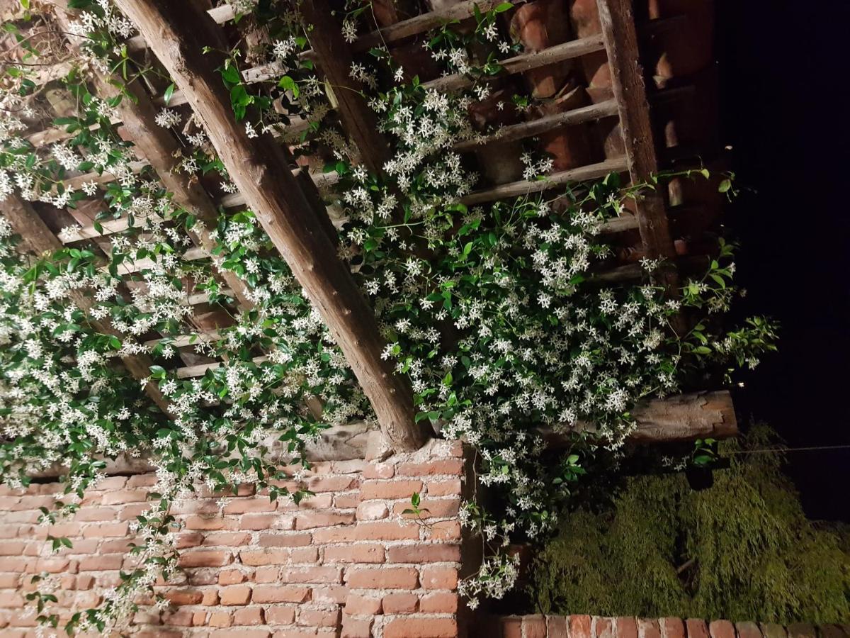 Az.Agr.Cascina Moretta Momo Exteriér fotografie