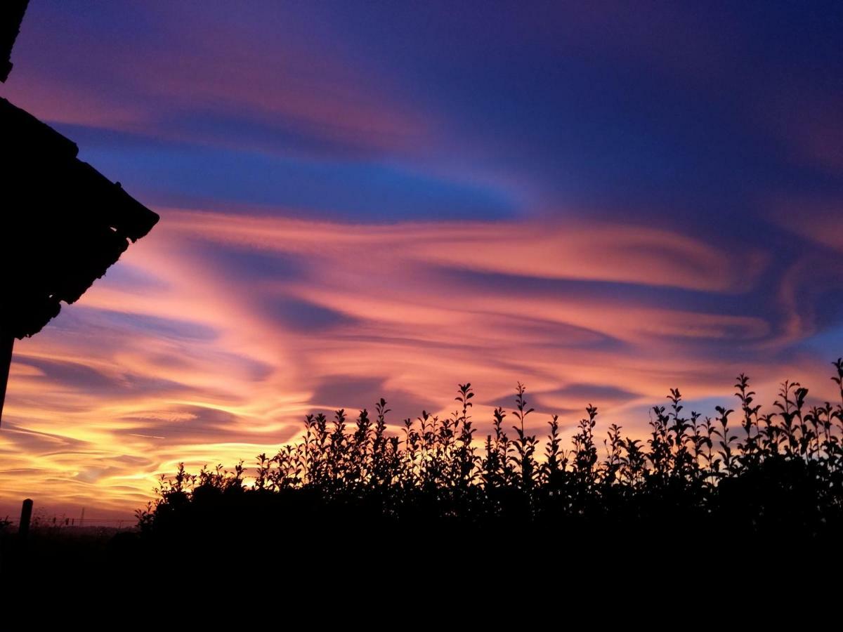 Az.Agr.Cascina Moretta Momo Exteriér fotografie