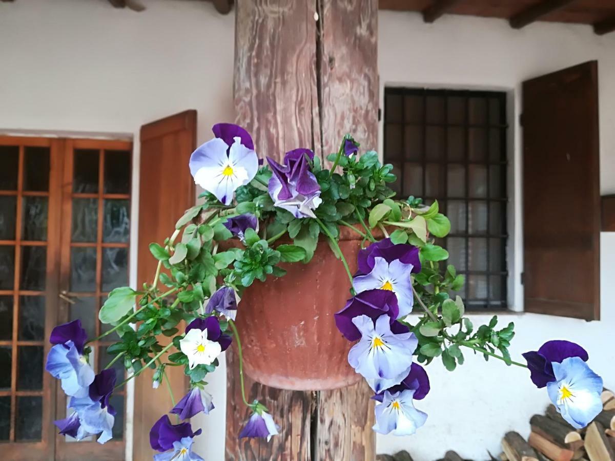 Az.Agr.Cascina Moretta Momo Exteriér fotografie