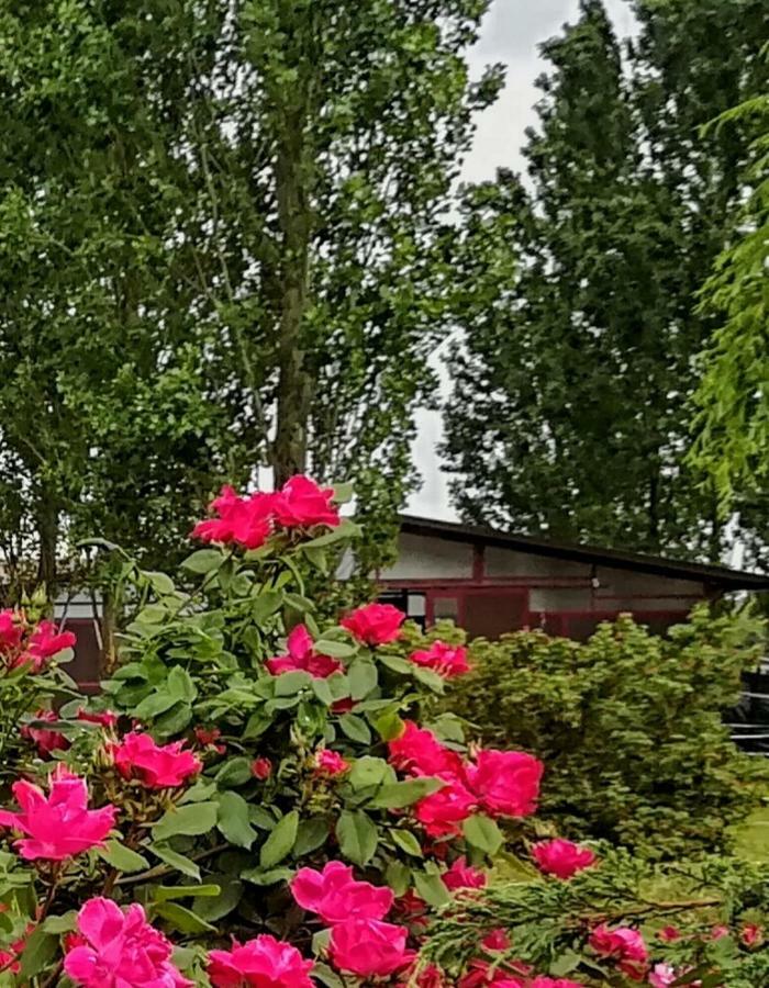 Az.Agr.Cascina Moretta Momo Exteriér fotografie