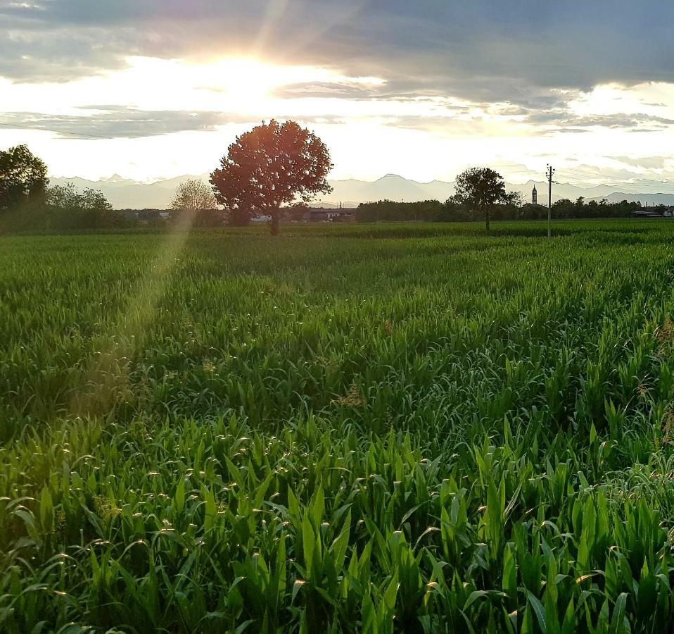 Az.Agr.Cascina Moretta Momo Exteriér fotografie