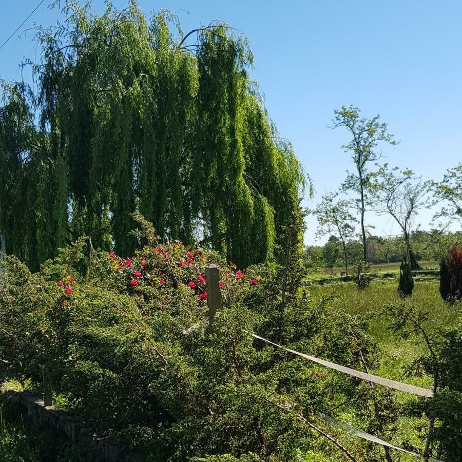 Az.Agr.Cascina Moretta Momo Exteriér fotografie