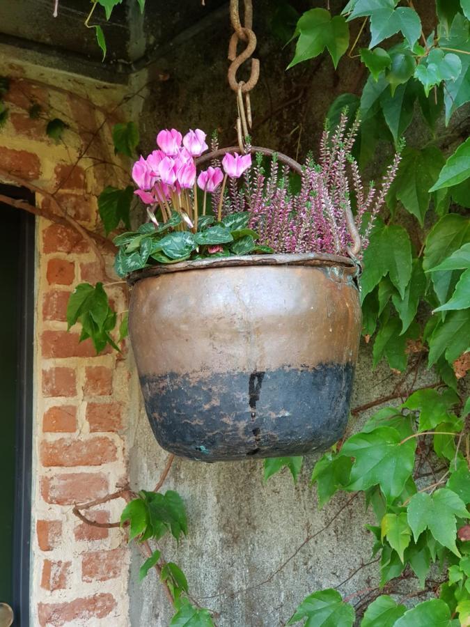 Az.Agr.Cascina Moretta Momo Exteriér fotografie